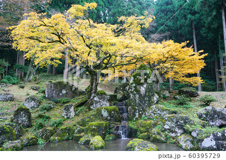朝倉遺跡 日本遺産 紅葉 朝倉遺跡 日本遺産 紅葉 60395729