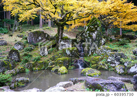 朝倉遺跡 日本遺産 紅葉 朝倉遺跡 日本遺産 紅葉 60395730
