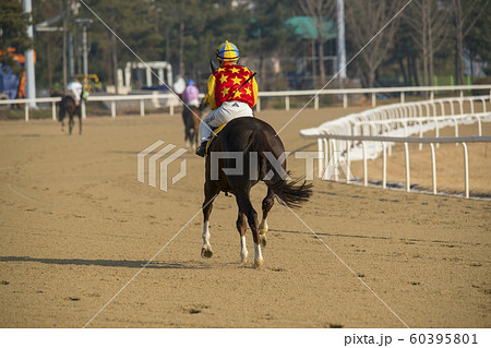 競馬 ランニング 走り 60395801