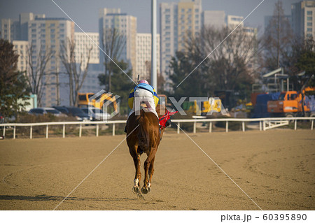 競馬 ランニング 走り 60395890