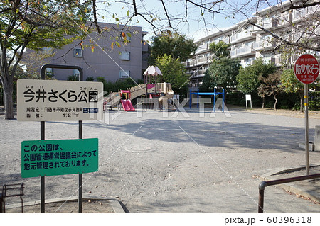 川崎市、今井さくら公園 60396318