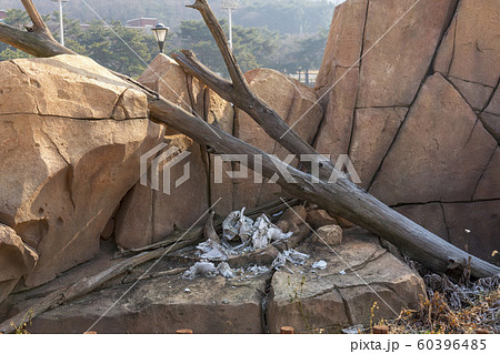 自然 風景 韓国 60396485