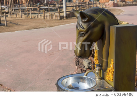 自然 風景 韓国 60396486