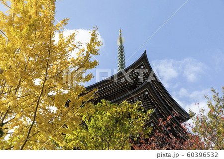 五重の塔と紅葉 五重の塔と紅葉 60396532