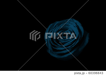 暗闇の中の水色のバラ 暗闇の中の水色のバラ 60396643