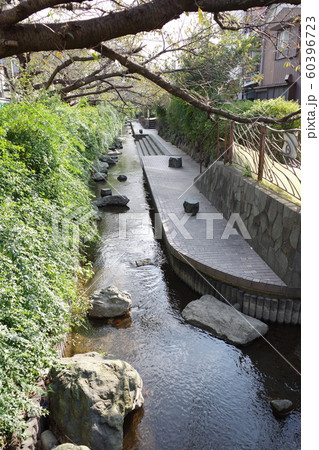 川崎市中原区、渋川の風景 60396723