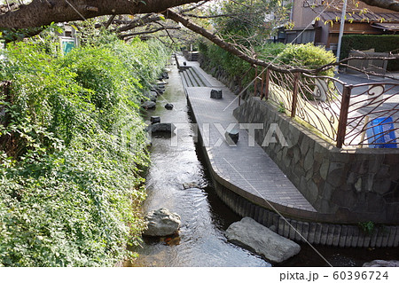 川崎市中原区、渋川の風景 60396724