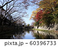 滋賀県　八幡堀の紅葉 60396733