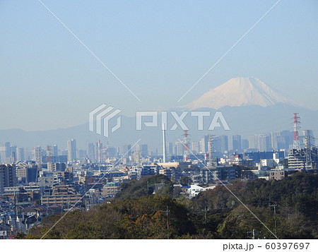 船橋芝山からの風景です！。。富士山と東京高層ビル群！。。元気が出る風景です！！。。 60397697