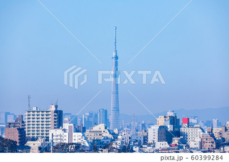 秋の空　市川の里見公園から東京スカイツリーを望む 60399284