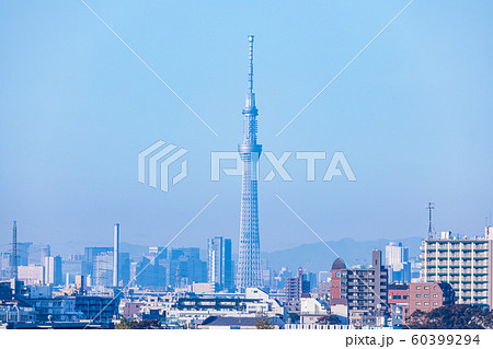 秋の空　市川の里見公園から東京スカイツリーを望む 60399294
