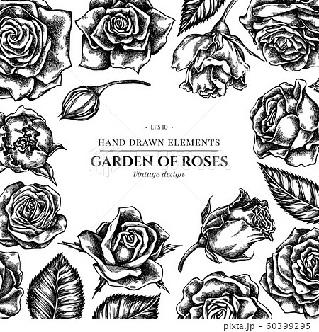 Floral Design With Black And White Rosesのイラスト素材