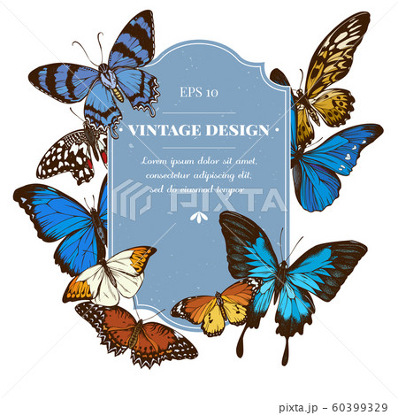 Badge design with colored papilio ulysses, morpho menelaus, morpho rhetenor cacica, cethosia biblis, papilio antimachus, alcides agathyrsus, hebomoia glaucippe, danaus chrysippus Badge design with colored papilio ulysses, morpho menelaus, morpho rhetenor cacica, cethosia biblis, papilio antimachus, alcides agathyrsus, hebomoia glaucippe, danaus chrysippus 60399329