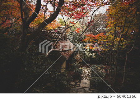 秋の厭離庵 秋の厭離庵 60401366