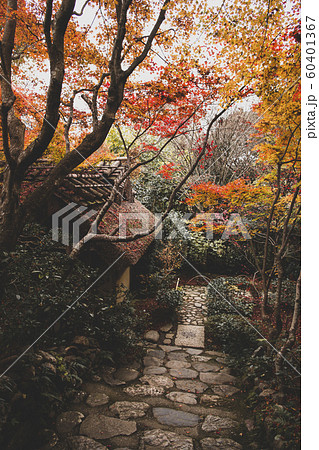 秋の厭離庵 秋の厭離庵 60401367