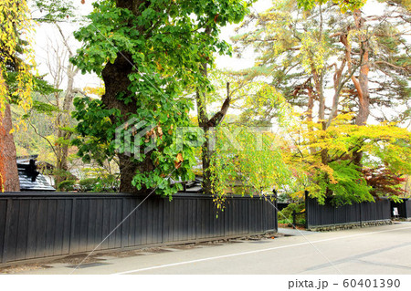 秋の角館 60401390