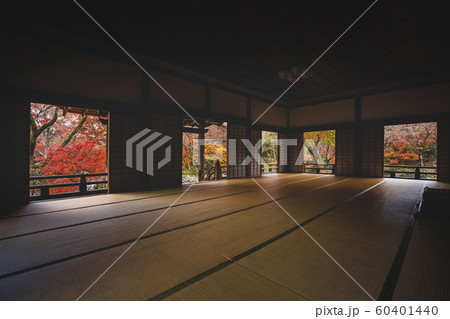 秋の宝筐院 秋の宝筐院 60401440