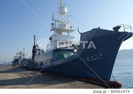捕鯨船団 母船とキャッチャーボート 捕鯨船団 母船とキャッチャーボート 60401474