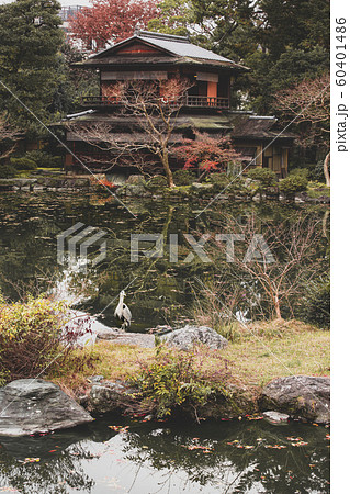 秋の拾翠亭 60401486