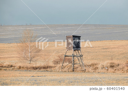 Wooden hunting tower in forest Wooden hunting tower in forest 60401540
