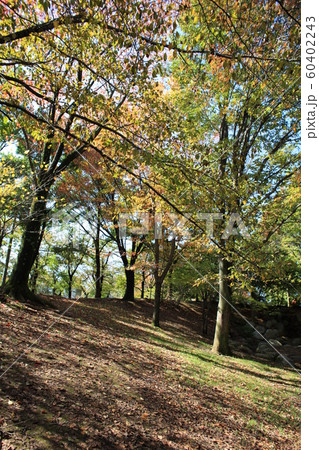 秋の紅葉風景その5 60402243