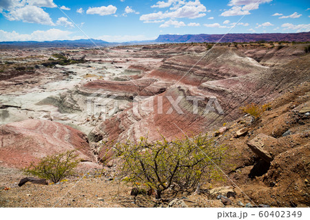 Stony landscape in Ischigualasto Provincial Park 60402349