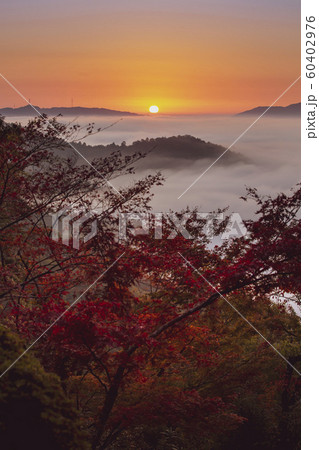 千手寺の雲海と朝陽 60402976