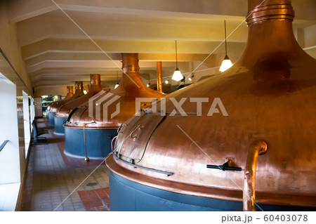 Beer brewing hall Beer brewing hall 60403078
