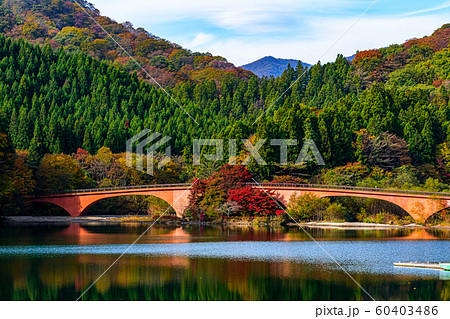 碓氷湖【群馬県安中市】 碓氷湖【群馬県安中市】 60403486