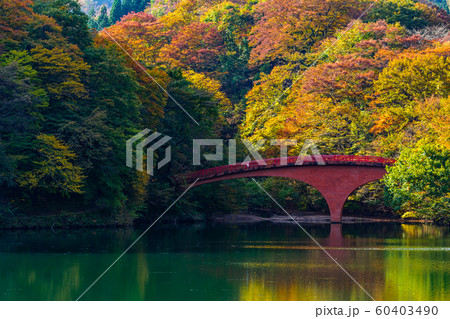 碓氷湖【群馬県安中市】 60403490