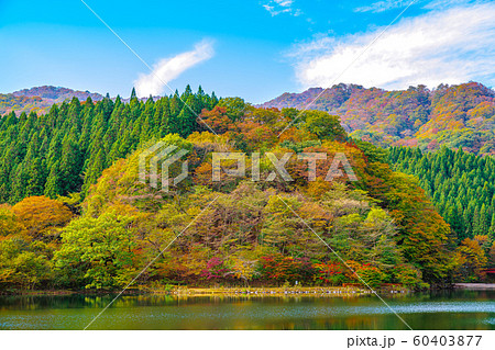碓氷湖【群馬県安中市】 60403877