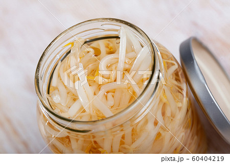 Glass jar of sprouted mung beans Glass jar of sprouted mung beans 60404219
