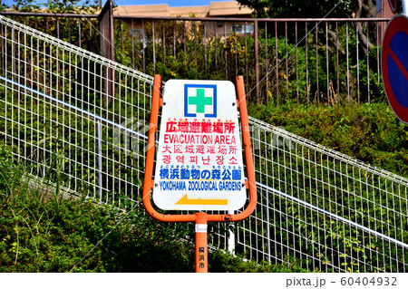 交通標識と各種看板 交通標識と各種看板 60404932