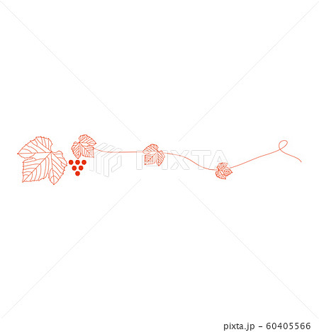 葡萄の蔦イラストのイラスト素材