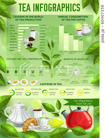 Tea beverage vector infographics, charts, graphs Tea beverage vector infographics, charts, graphs 60407356