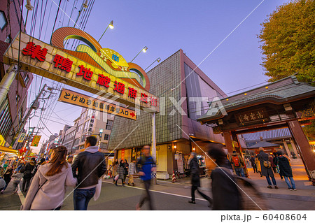 日本の東京都市景観 巣鴨地蔵通商店街や高岩寺 とげぬき地蔵尊 などを望むの写真素材