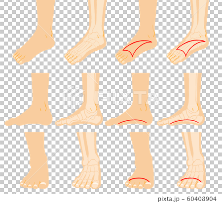 Illustration Material Foot Arch Skeleton Stock Illustration