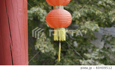 Hanging red lantern on the tree leaf background 60409512