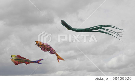 Color kite soaring in the sky Color kite soaring in the sky 60409626
