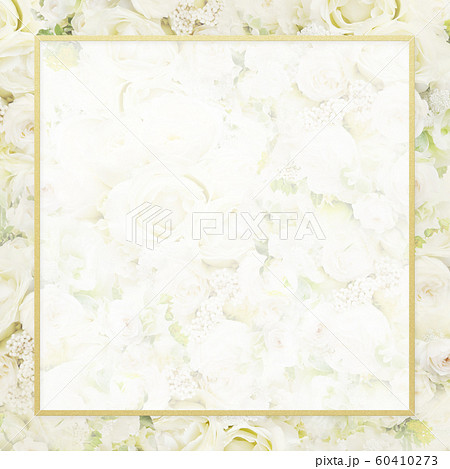 背景 バラ 白 フレームのイラスト素材