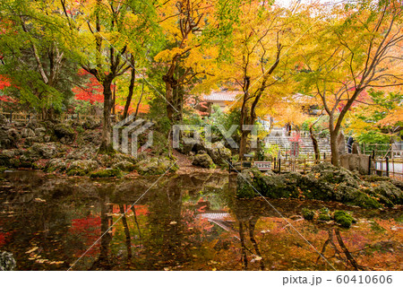 三重県　いなべ　紅葉の名所　聖宝寺の浄土池 60410606
