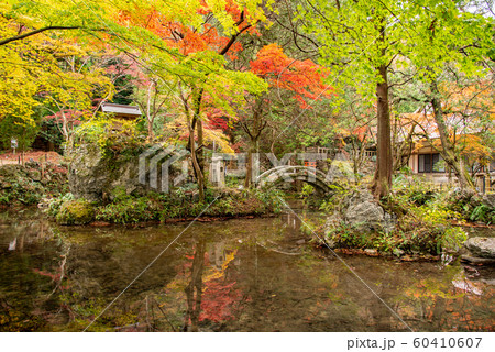 三重県　いなべ　紅葉の名所　聖宝寺の浄土池 60410607