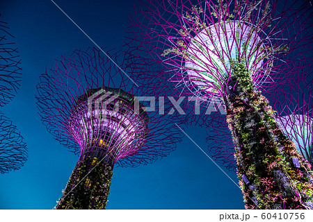 シンガポール　ガーデン・バイ・ザ・ベイの夜景　ライトアップ 60410756