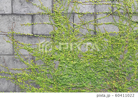 韓国 コピースペース デスクトップ 60411022