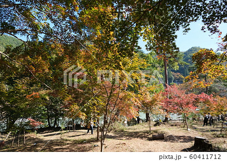 秩父月の石もみじ公園 秩父月の石もみじ公園 60411712