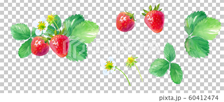 いちごの水彩イラスト 花 葉 果実のパーツセットのイラスト素材 いちごの水彩イラスト 花 葉 果実のパーツセットのイラスト素材