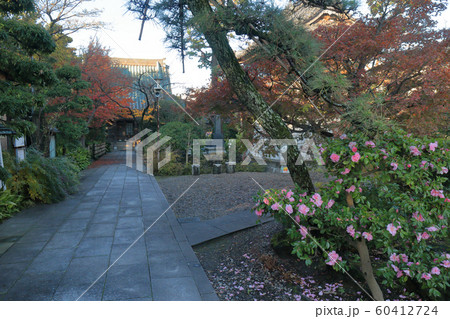 證誠寺(木更津市) 60412724