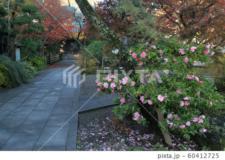 證誠寺(木更津市) 60412725
