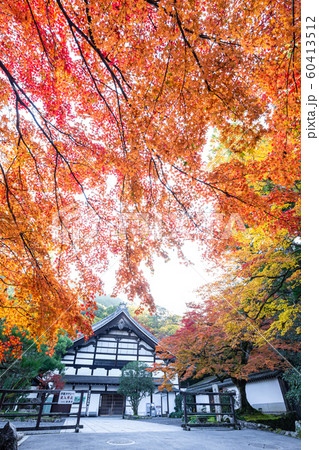 秋の南禅寺 60413512