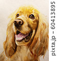 The dog of the breed Cocker Spaniel, watercolor illustration 60413895